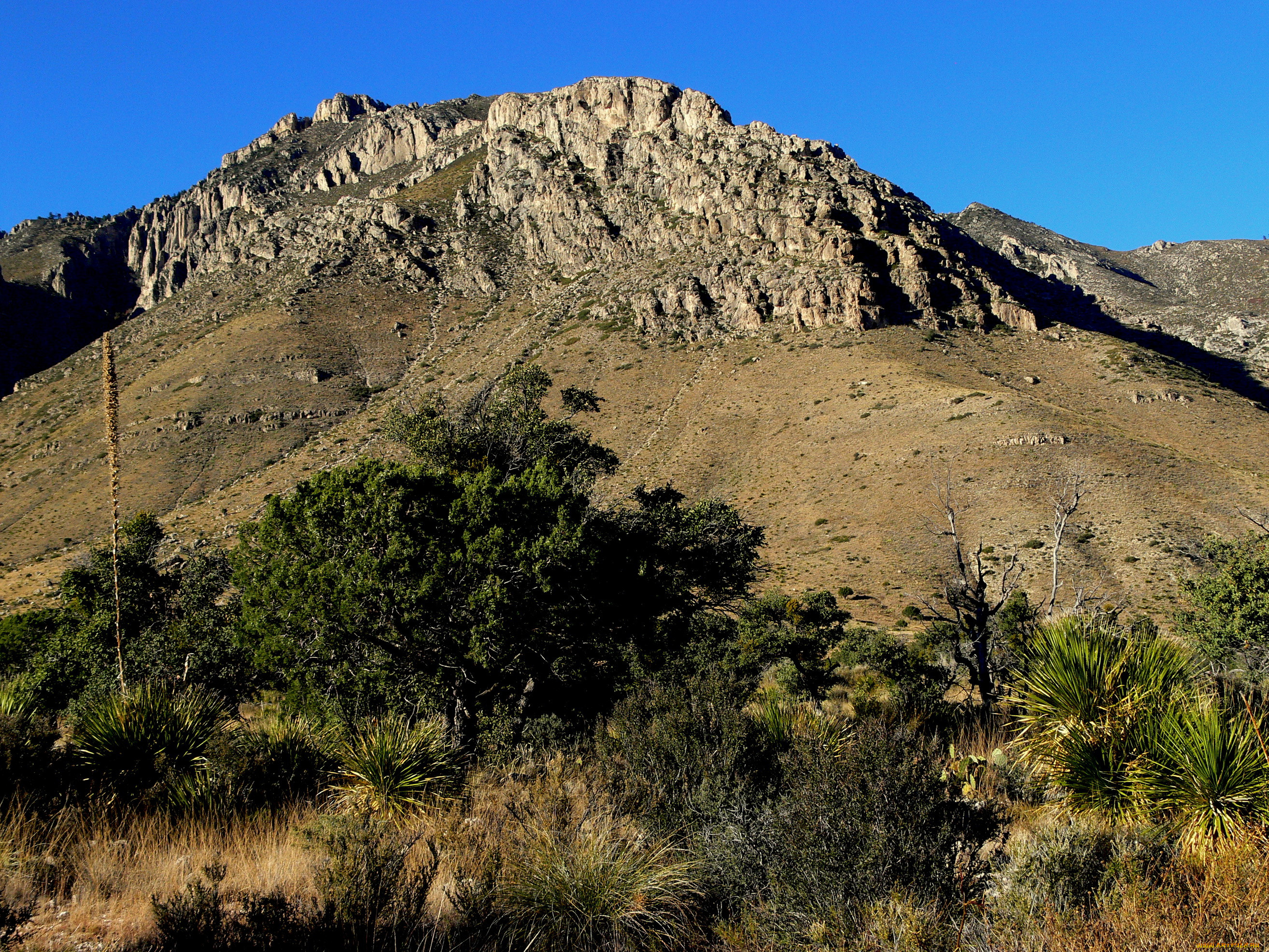 great, basin, national, park, , , , 